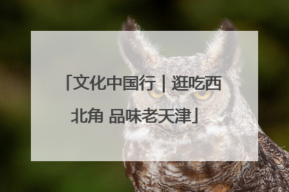 文化中国行｜逛吃西北角 品味老天津