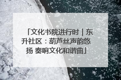 文化书院进行时｜东升社区：葫芦丝声韵悠扬 奏响文化和谐曲