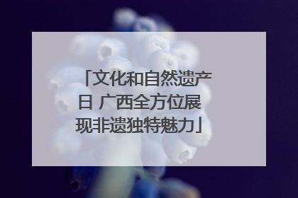 文化和自然遗产日 广西全方位展现非遗独特魅力