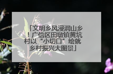 文明乡风浸润山乡！广信区田墩镇黄坑村以“小切口”绘就乡村振兴大图景
