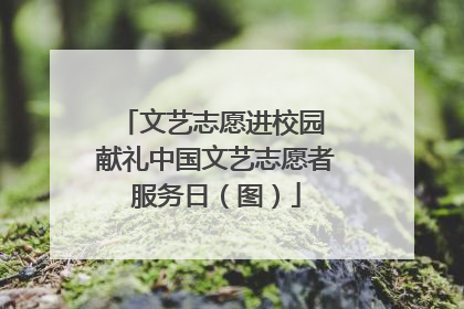 文艺志愿进校园 献礼中国文艺志愿者服务日（图）