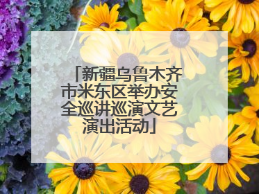 新疆乌鲁木齐市米东区举办安全巡讲巡演文艺演出活动