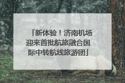 新体验！济南机场迎来首批航旅融合国际中转航线旅游团