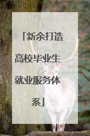 新余打造高校毕业生就业服务体系