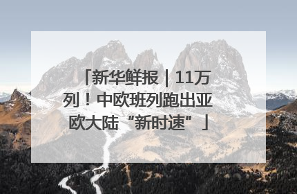 新华鲜报｜11万列！中欧班列跑出亚欧大陆“新时速”