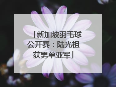 新加坡羽毛球公开赛：陆光祖获男单亚军