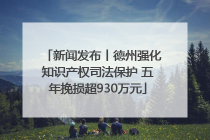 新闻发布丨德州强化知识产权司法保护 五年挽损超930万元