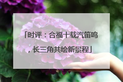 时评：合福十载汽笛鸣，长三角共绘新景程