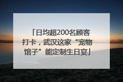 日均超200名顾客打卡，武汉这家“宠物馆子”能定制生日宴