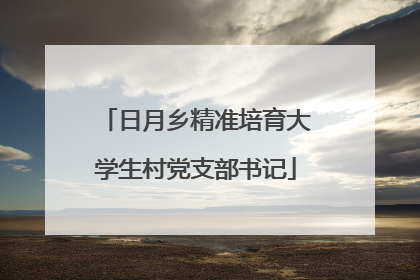 日月乡精准培育大学生村党支部书记