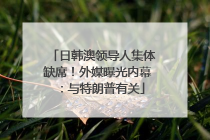日韩澳领导人集体缺席！外媒曝光内幕：与特朗普有关