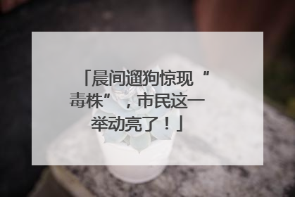 晨间遛狗惊现“毒株”，市民这一举动亮了！