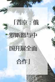 普京：俄罗斯愿与中国开展全面合作