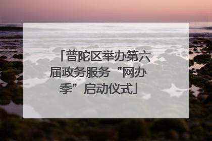普陀区举办第六届政务服务“网办季”启动仪式