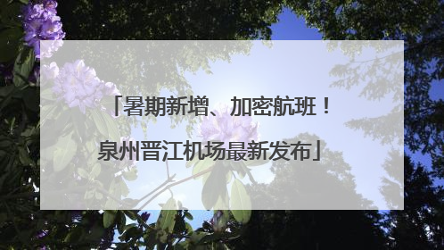 暑期新增、加密航班！泉州晋江机场最新发布