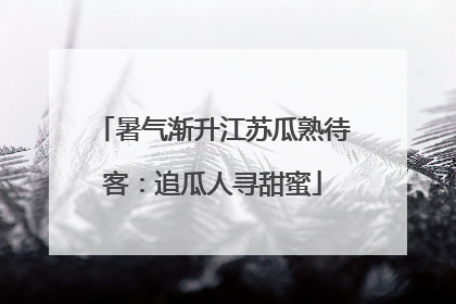 暑气渐升江苏瓜熟待客：追瓜人寻甜蜜