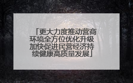 更大力度推动营商环境全方位优化升级加快促进民营经济持续健康高质量发展