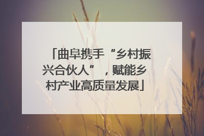 曲阜携手“乡村振兴合伙人”，赋能乡村产业高质量发展