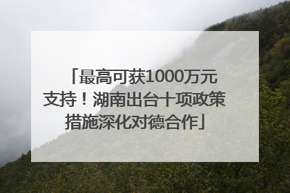 最高可获1000万元支持！湖南出台十项政策措施深化对德合作