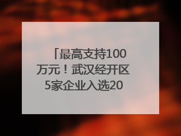 最高支持100万元！武汉经开区5家企业入选2025年度武汉市重点研发计划拟立项项目名单
