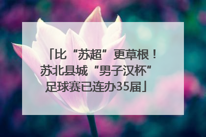 比“苏超”更草根！苏北县城“男子汉杯”足球赛已连办35届