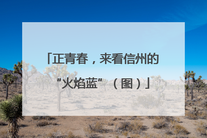 正青春，来看信州的“火焰蓝”（图）