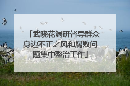 武晓花调研督导群众身边不正之风和腐败问题集中整治工作