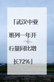 武汉中亚班列一年开行量同比增长72%