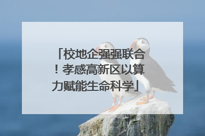 校地企强强联合！孝感高新区以算力赋能生命科学