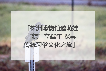 株洲博物馆邀萌娃“粽”享端午 探寻传统习俗文化之旅