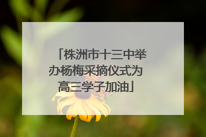 株洲市十三中举办杨梅采摘仪式为高三学子加油