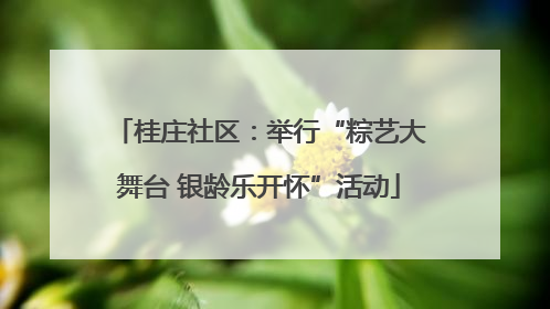 桂庄社区：举行“粽艺大舞台 银龄乐开怀”活动