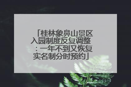 桂林象鼻山景区入园制度反复调整：一年不到又恢复实名制分时预约
