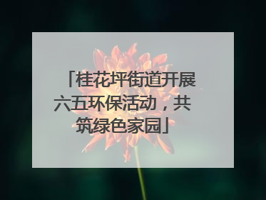 桂花坪街道开展六五环保活动，共筑绿色家园