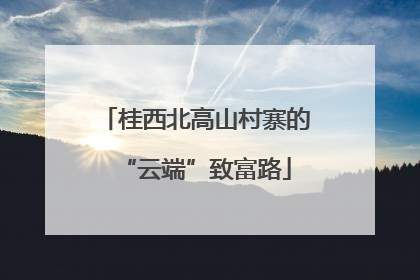 桂西北高山村寨的“云端”致富路