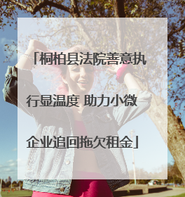 桐柏县法院善意执行显温度 助力小微企业追回拖欠租金