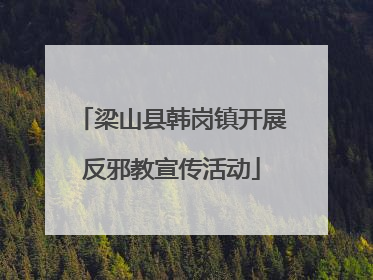 梁山县韩岗镇开展反邪教宣传活动
