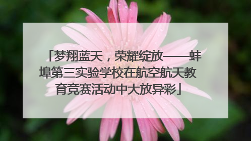 梦翔蓝天，荣耀绽放——蚌埠第三实验学校在航空航天教育竞赛活动中大放异彩
