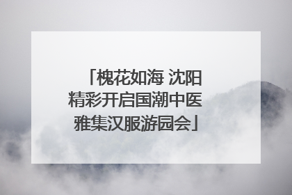 槐花如海 沈阳精彩开启国潮中医雅集汉服游园会