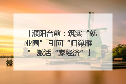 濮阳台前：筑实“就业圈” 引回“归巢雁” 激活“家经济”