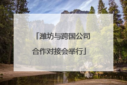 潍坊与跨国公司合作对接会举行