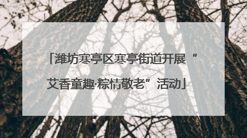 潍坊寒亭区寒亭街道开展“艾香童趣·粽情敬老”活动