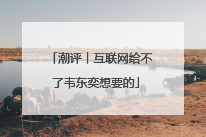 潮评丨互联网给不了韦东奕想要的