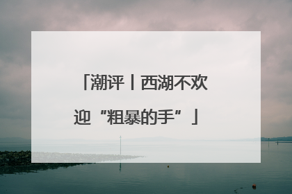 潮评丨西湖不欢迎“粗暴的手”