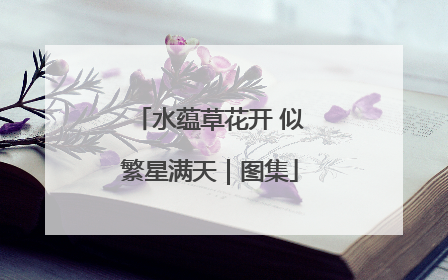 水蕴草花开 似繁星满天｜图集