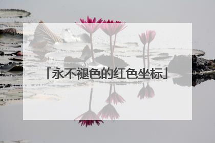 永不褪色的红色坐标