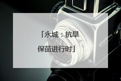 永城：抗旱保苗进行时