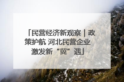 民营经济新观察｜政策护航 河北民营企业激发新“冀”遇