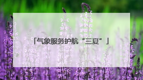 气象服务护航“三夏”