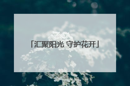 汇聚阳光 守护花开